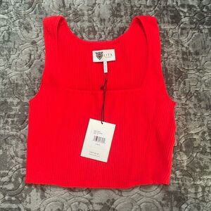 Lita By Ciara Crop Tank NwT